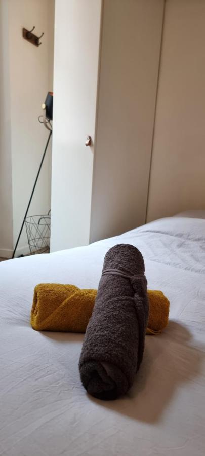 Апартаменти Studio En Rdc - Quai De Garonne - Capitole - Wifi Тулуза Екстер'єр фото